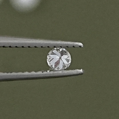 Old European Round Loose Diamond